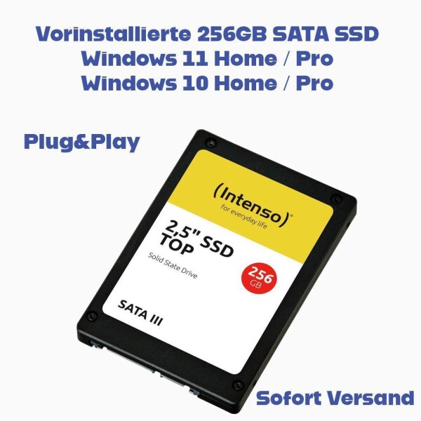 SATA SSD Festplatte mit vorinstalliertem Windows 10 oder 11 PC Laptop 550Mb/s 256GB-Win10Pro